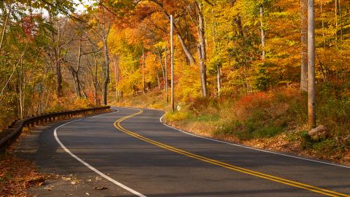 Fall Roadway in New Jersey