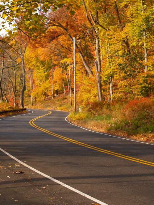 Fall Roadway in New Jersey
