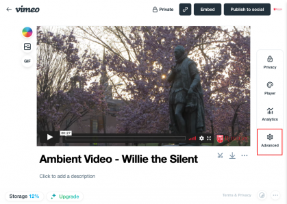 Vimeo Pro - Advanced Link Button Image