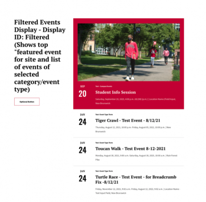 Filtered Events Display - Display ID Filtered
